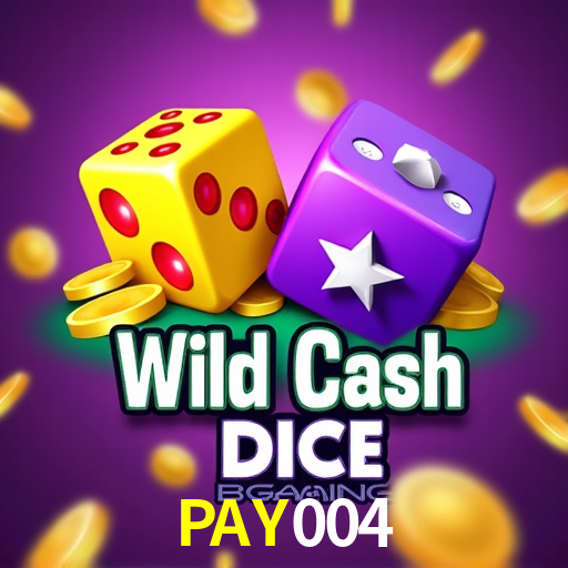 PAY004