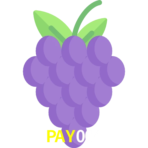 PAY004